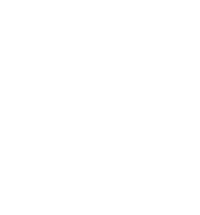 SCHNEIDER LOGO BRANCO
